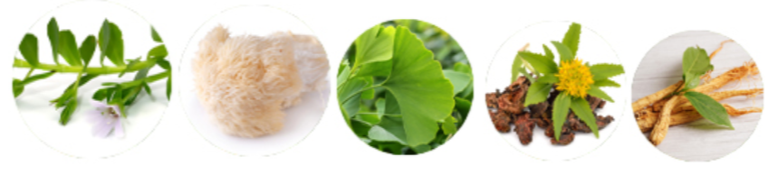 Memora Ingredients